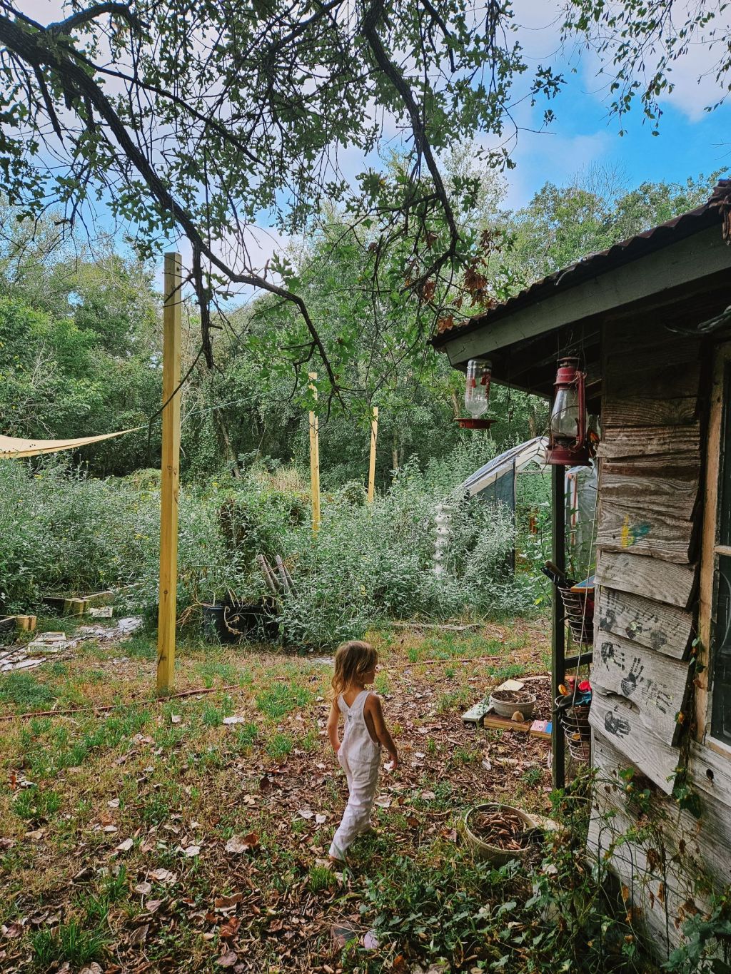 Roots to Revival: Off Grid Cabin&nbsp;Renovation