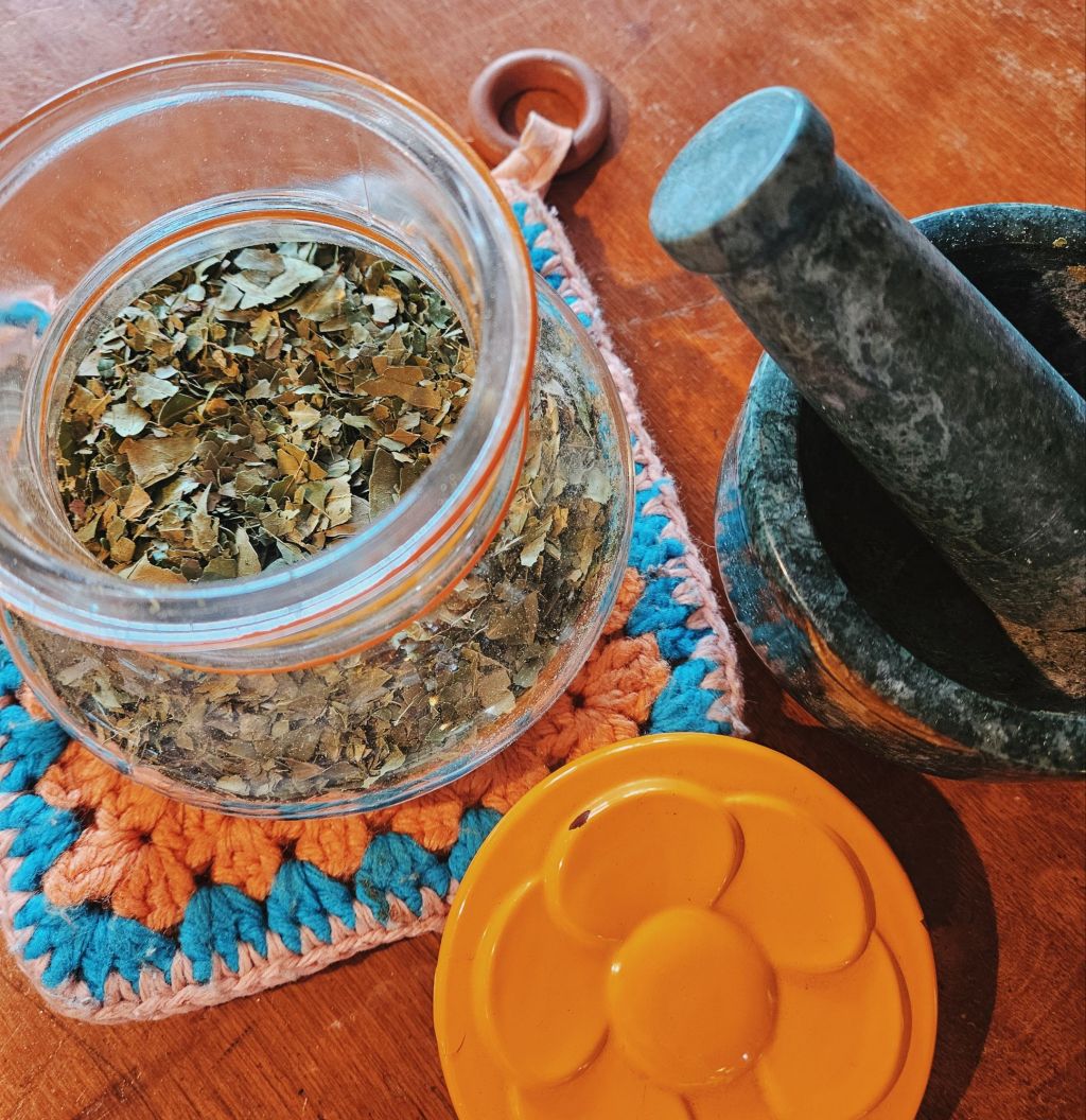 Wildcrafted Yaupon Tea