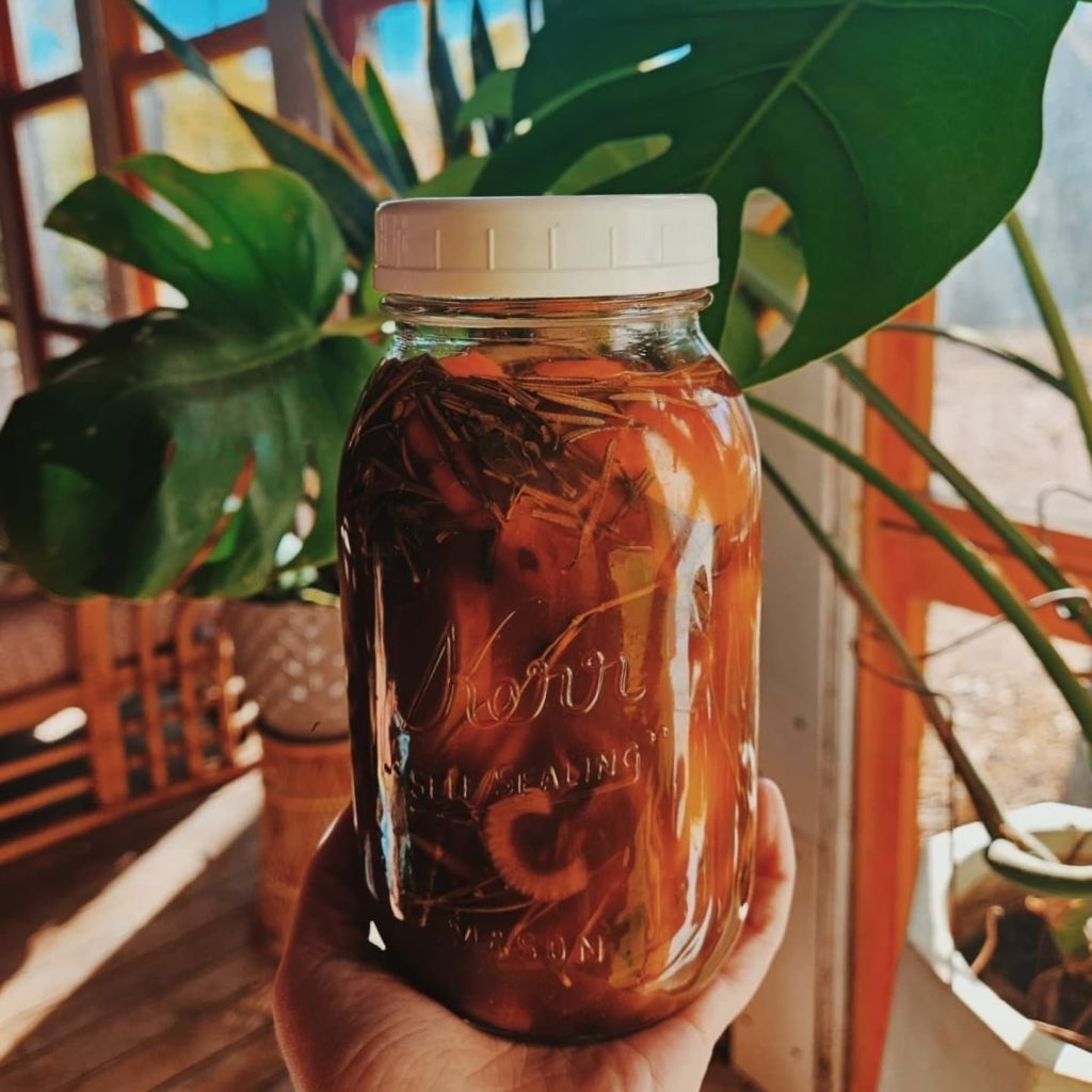 Homemade Fire Cider: Nourishing Health and&nbsp;Community